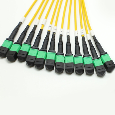 Low Loss MPO Fanout Cable Large Quantity Core 1M 144F SMG657A1 MPO APC naar MPO APC Breakout Fiber Optic Patch Cord