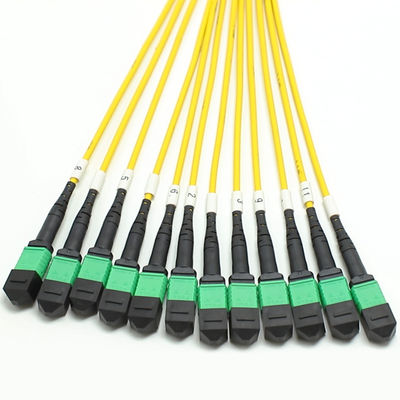 Low Loss MPO Fanout Cable Large Quantity Core 1M 144F SMG657A1 MPO APC naar MPO APC Breakout Fiber Optic Patch Cord
