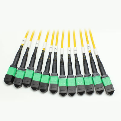 Low Loss MPO Fanout Cable Large Quantity Core 1M 144F SMG657A1 MPO APC naar MPO APC Breakout Fiber Optic Patch Cord