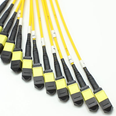 Low Loss MPO Fanout Cable Large Quantity Core 1M 144F SMG657A1 MPO APC naar MPO APC Breakout Fiber Optic Patch Cord